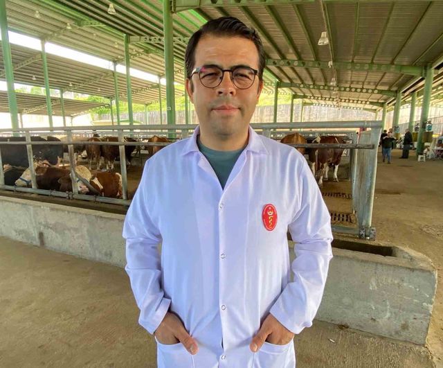 Kene Uyarısı: 200’den Fazla Hastalık Etkeni Taşıyabilir