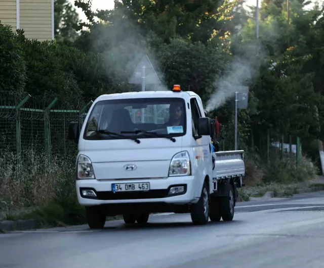 Küçükçekmece’de sivrisinek mücadelesi yoğunlaştı