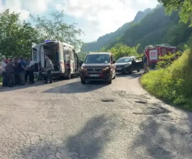 Kumru'da yolcu minibüsü uçuruma yuvarlandı: 9 kişi yaralandı