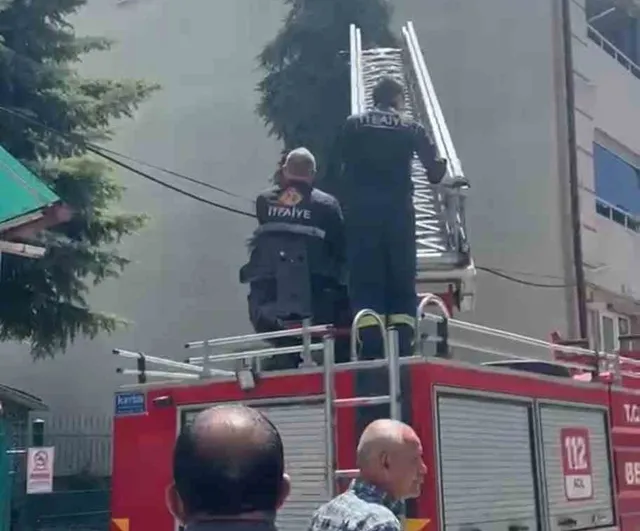 Kütahya'da ağaca takılan serçe itfaiye ekiplerince kurtarıldı