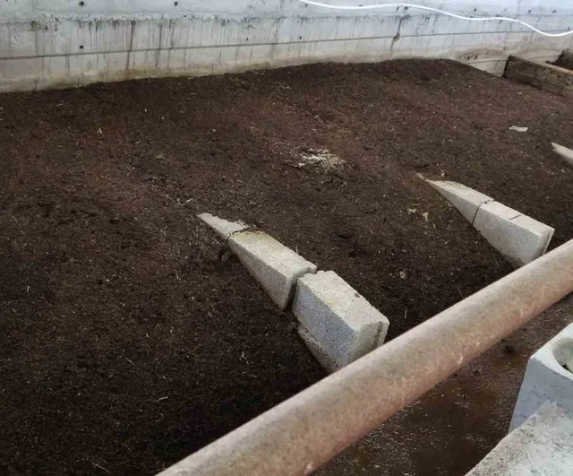 Malatya'da bahçesinde ürettiği solucan gübresi ek gelir kaynağına dönüştü