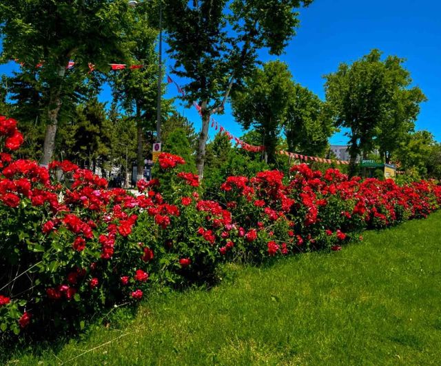 Malatya’da park ve kavşaklar çiçeklerle süslendi