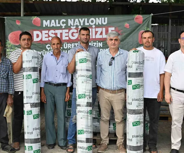 Manisa Büyükşehir'den çilek üreticilerine yüzde 75 malç naylonu desteği