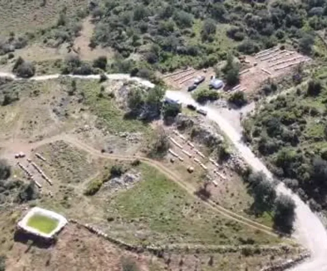 Mersin'de Doğal Beyaz Bal: Eğriçayır Yaylası'na Uzanan Kristalleşme Süreci