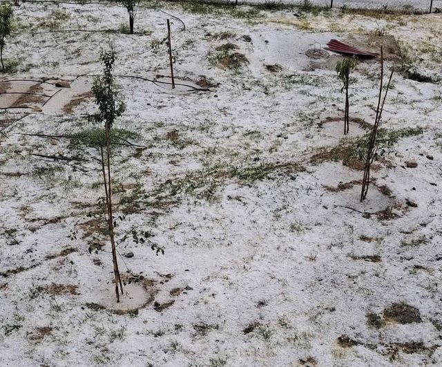 Mersin Erdemli'de dolu yüksek rakımlı mahallelerde tarıma zarar verdi