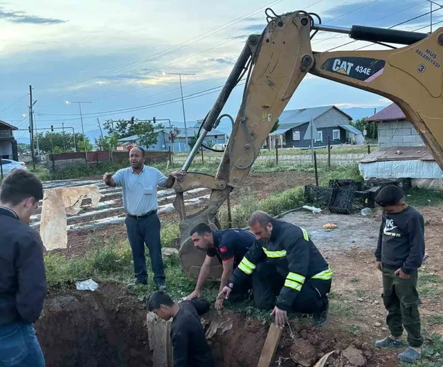 Muş Harman Köyü'nde Foseptik Çukuruna Düşen İnek İtfaiye Ekiplerince Kurtarıldı
