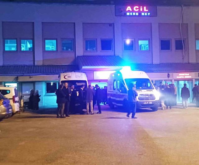 Muş’un Bulanık ilçesinde trafik kazası: 2 yaralı