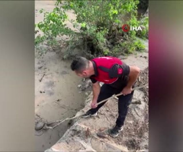 Osmaniye Düziçi'nde çamura saplanan kaplumbağa itfaiye ekiplerince kurtarıldı