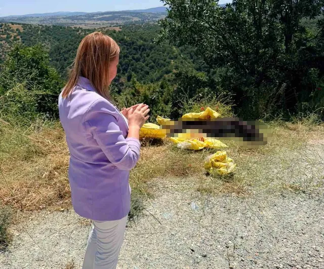 Pazaryeri belediye başkanı Tekin yol kenarına bırakılan hayvan leşine tepki gösterdi