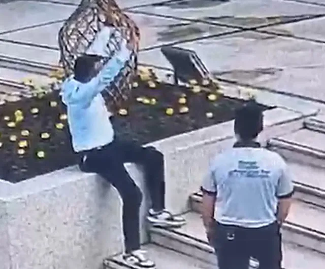 Salihli'de köpeğe ve güvenlik personeline saldıran şüpheli tutuklandı