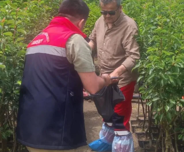 Samsun'da fidancılık ve peyzaj işletmelerine kapsamlı bitki sağlığı denetimi