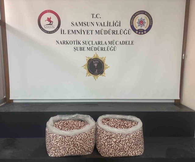 Samsun'da tırın yatak bölümünde 129 bin 500 sentetik ecza hap ele geçirildi