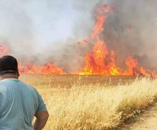 Şanlıurfa’da buğday tarlasında yangın