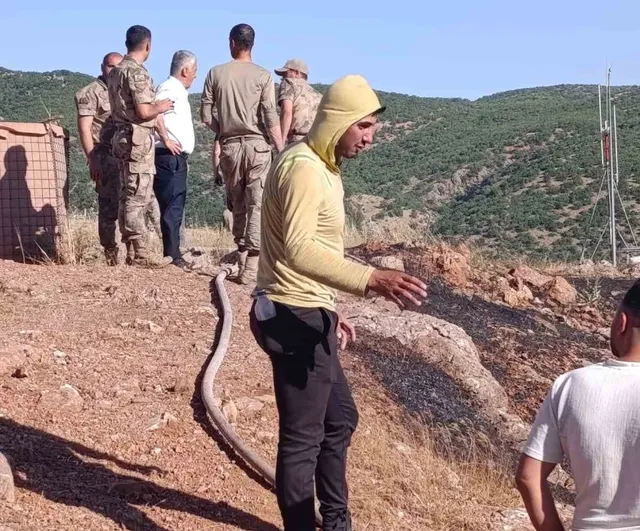 Siirt'te köy yakınında çıkan yangın ekiplerin müdahalesiyle söndürüldü