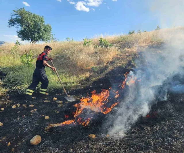 Siirt'te otluk yangını bağlara sıçradı; yaklaşık 2 dönüm zarar gördü