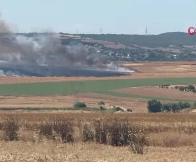Silivri'de arpa tarlasında yangın