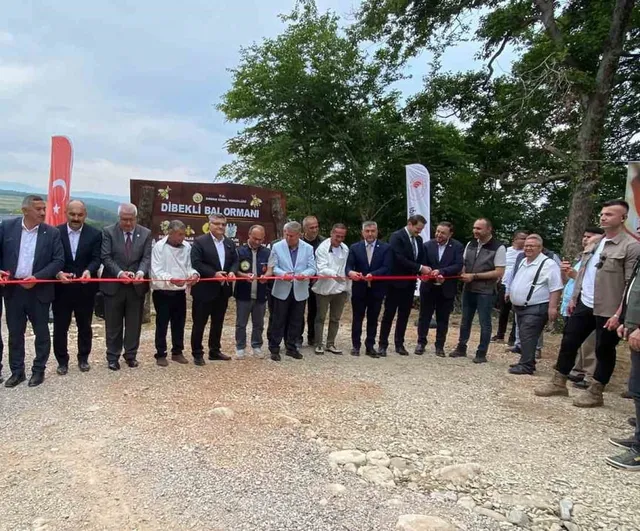 Sinop’ta 45 hektarda Türkiye’nin 913’üncü bal ormanı açıldı