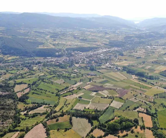 Siyezin anavatanı Kastamonu’da ekim sahası genişliyor
