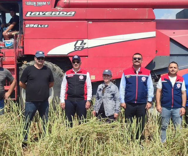 Söke'de kanola hasadı gerçekleştirildi