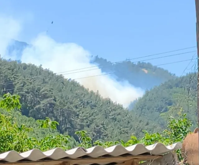 Soma'daki orman yangınına havadan müdahale sürüyor