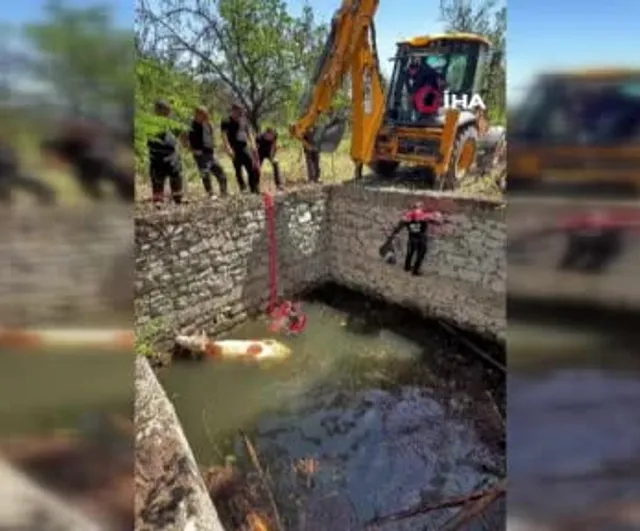 Sulama havuzuna düşen gebe inek 2 saatlik çalışmayla kurtarıldı