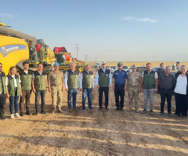 TİGEM Ceylanpınar'da buğday hasadı başladı: 56 bin 400 hektarda rekolte beklentisi