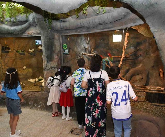 Trabzon Kuş Parkı: Zağnos ve Tabakhane vadileri arasında 27 tür barındırıyor