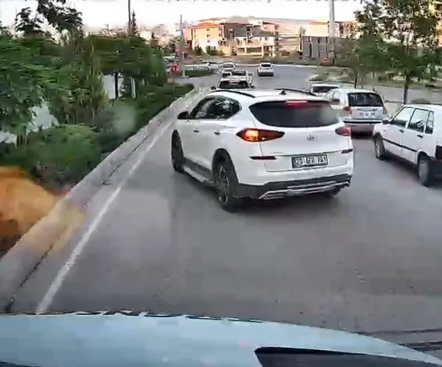 Trafikte yol kesip tepki gösteren sürücü kamerada