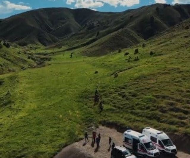 Tunceli'de mantar toplayan 3 kişi ayı saldırısında yaralandı