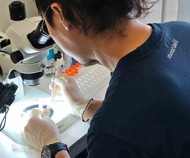 Türkiye ve Japonya’dan kene tehdidine karşı ortak mücadele