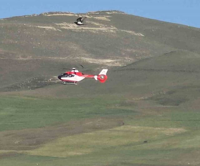 Van'da kalp krizi geçiren hasta helikopter ambulansla hastaneye sevk edildi