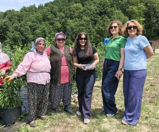 Yalova’da yaban mersini üretiminde iyi tarım uygulamaları denetleniyor