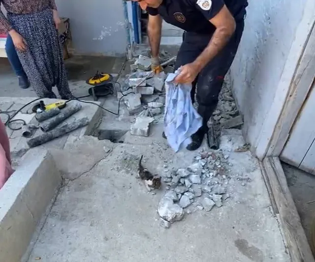 Yavru kedi plastik borudan itfaiye ekiplerince kurtarıldı