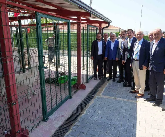 Yenişehir'de Güney Marmara'nın en modern hayvan bakımevi hizmete girdi