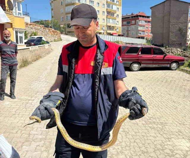 Yozgat’ta otomobile giren yılan itfaiye ekiplerince çıkarıldı