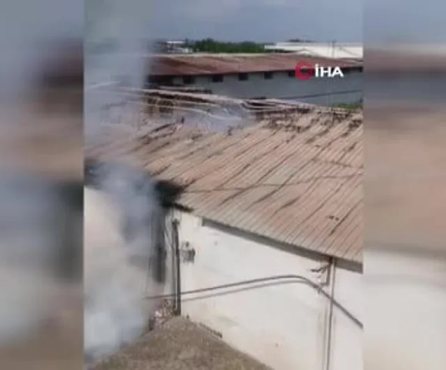 Adana'da narenciye paketleme tesisinde yangın