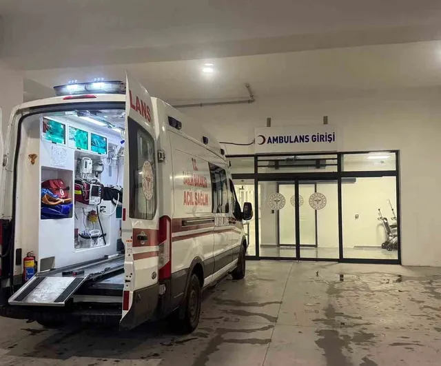 Alaplı'da bahçede biberleri temizlerken yılan tarafından ısırıldı