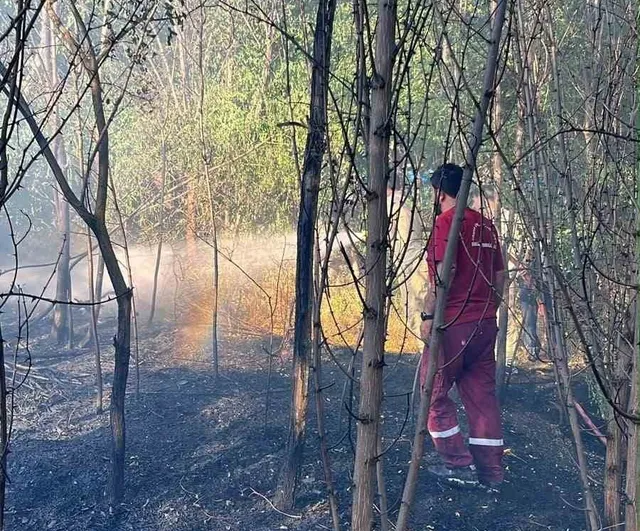 Bahçe yangını ekiplerin müdahalesiyle ormanlık alana sıçramadan söndürüldü