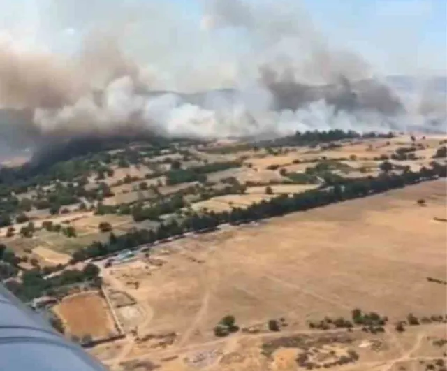 Balıkesir Altıeylül'de orman yangını