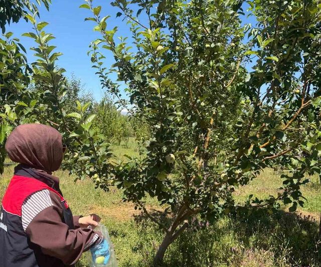 Bayburt'ta hasat öncesi pestisit denetimleriyle güvenli üretim ön plana çıktı