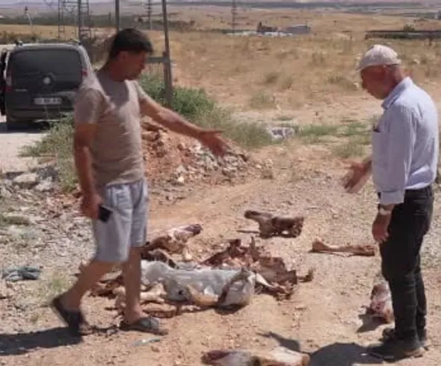 Bilek köyü mevkiinde yol kenarına bırakılan at kemikleri tepkilere neden oldu