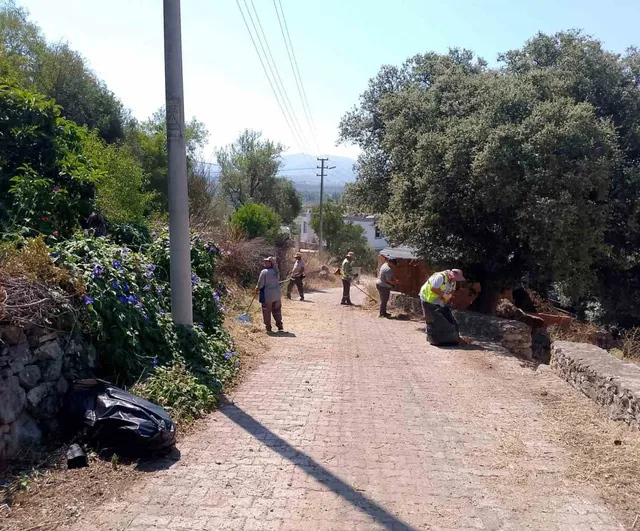 Bodrum’da ot temizliği çalışmaları haziran boyunca sürdü