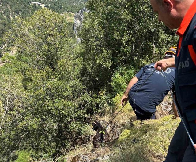 Burdur'da dağlık alanda mahsur kalan keçiler kurtarıldı