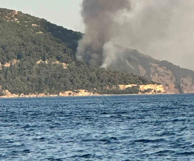 Büyükada'da Viranbağ Plajı'nda yangın çıktı