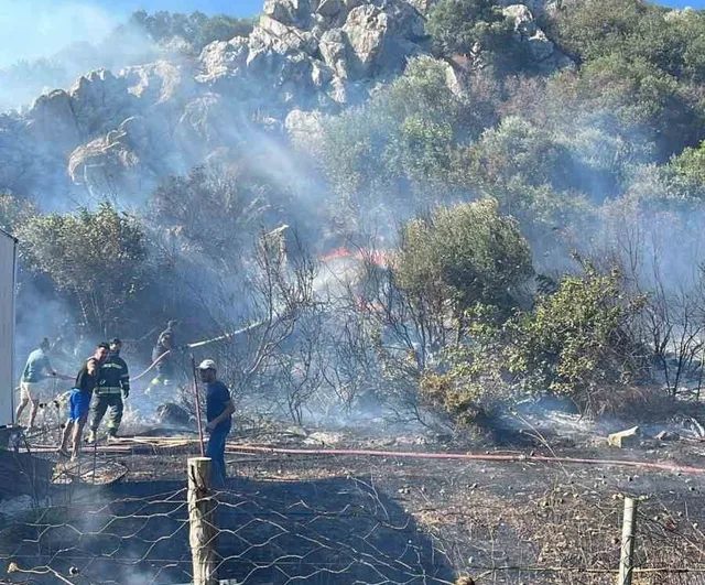 Datça'da makilik yangını havadan ve karadan müdahaleyle kontrol altına alındı