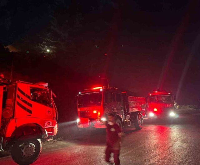 Dikili Bademler'de makilik yangını sabaha kadar sürdü