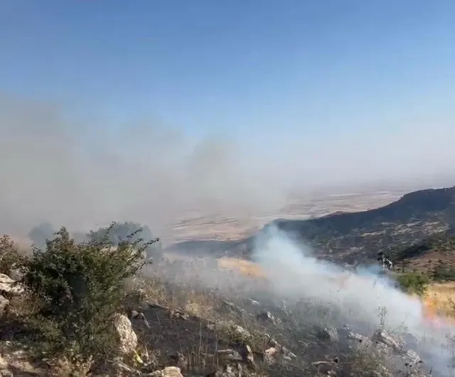Diyarbakır'da örtü yangını söndürüldü