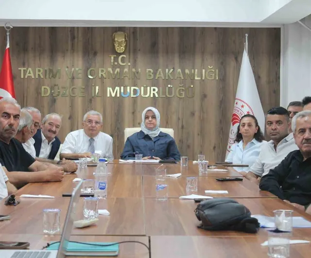 Düzce'de fındık rekolte tahmin çalışmaları değerlendirildi