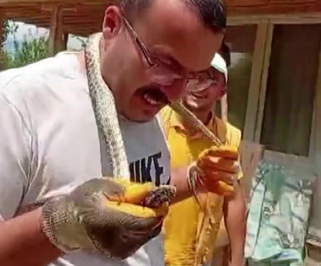 Eve giren yılanı yakalayıp boynuna sardı