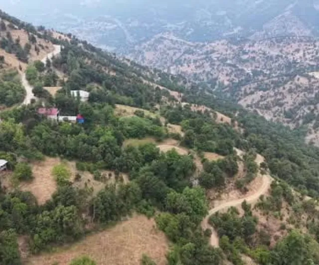 Feke'nin Gaffaruşağı Mahallesi'nde kantaron ve kekik zeytinyağıyla şifa kaynağına dönüşüyor